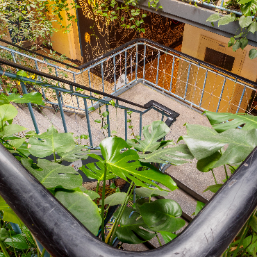 planten op trap -