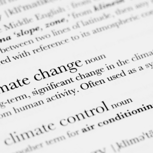 KENNISARTIKEL 3 2BHonest