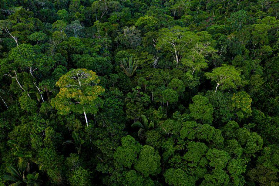 Advancing forest protection to comply with EUDR Advancing forest protection to comply with EUDR