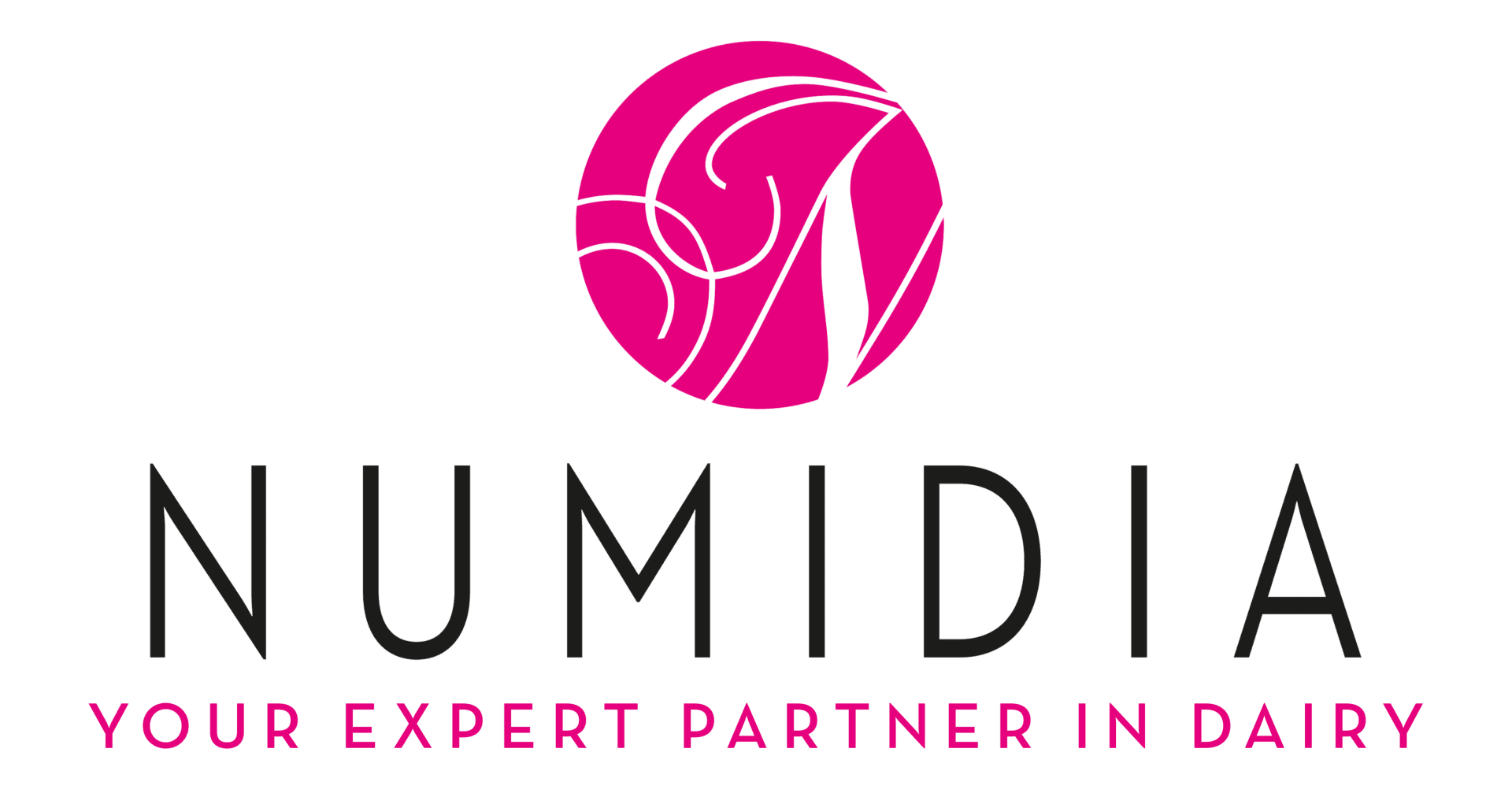 cropped-numidia_slogan-neues-logo-07-02-24-200sp Cropped numidia slogan new logo 07 02 24 200sp